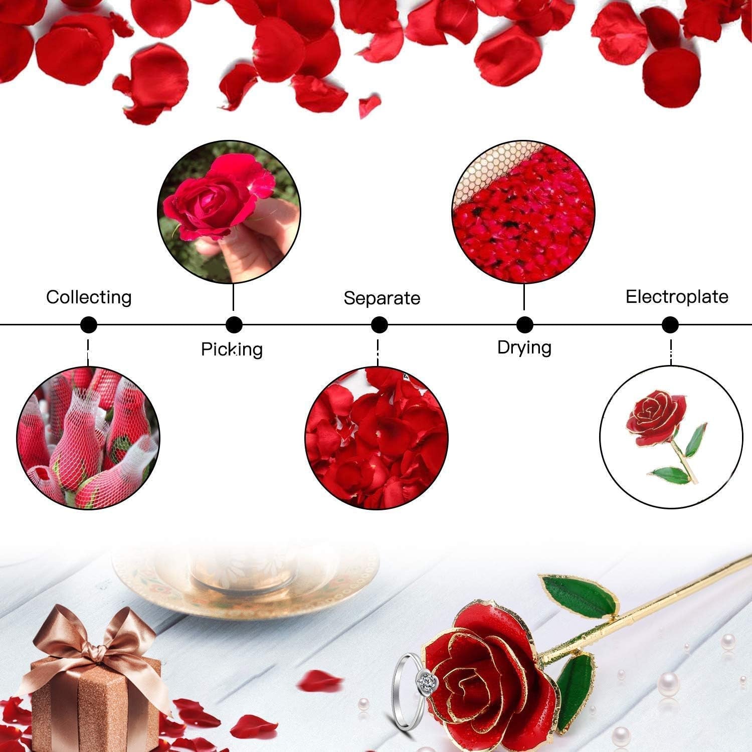 Gold Dipped Rose 24K with Gift Box, Stand & Writable Card – Valentines Day Gift for Her, Wife or Mom, Forever Preserved Rose - Romantic Flower Keepsake, Elegant Gift for Anniversary & Special Moments