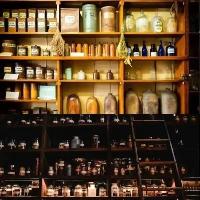The Holistic Home Apothecary 1000+ Forgotten Remedies Natural Herbal Wellness Guide Book