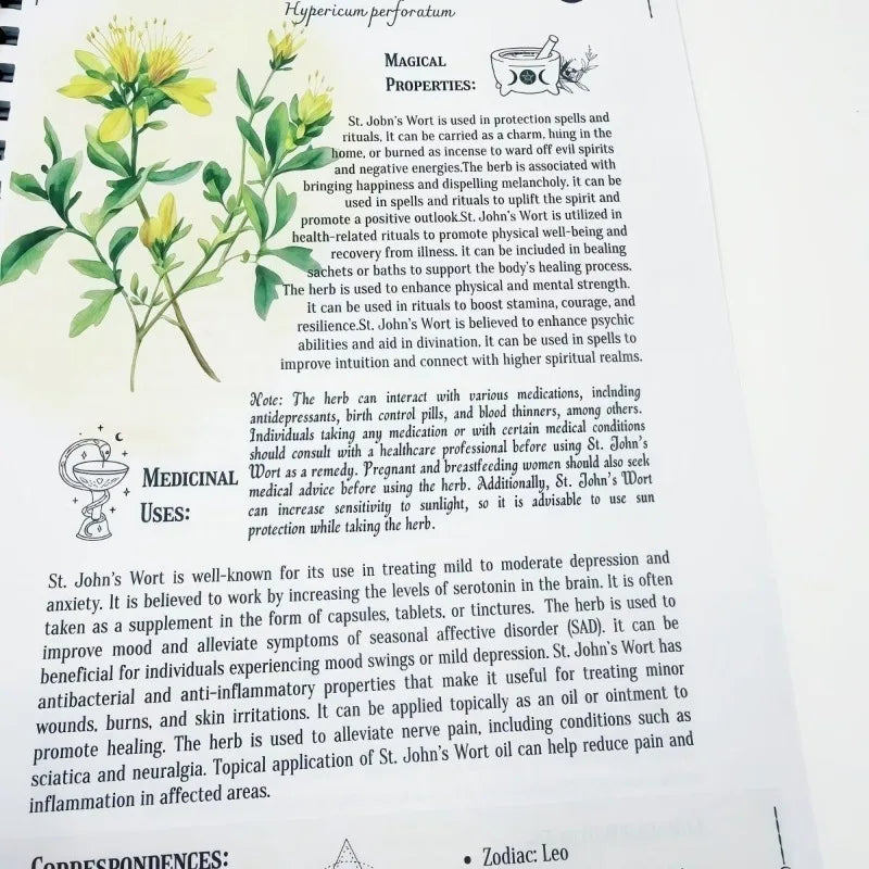 Ancient Healing Health Journal Natural Remedies, Diet and Fitness Programs, Adult Holistic Life Notes Philosophy Books