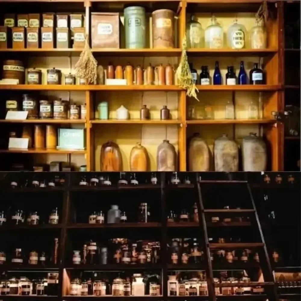 The Holistic Home Apothecary 1000+ Forgotten Remedies Natural Herbal Wellness Guide Book