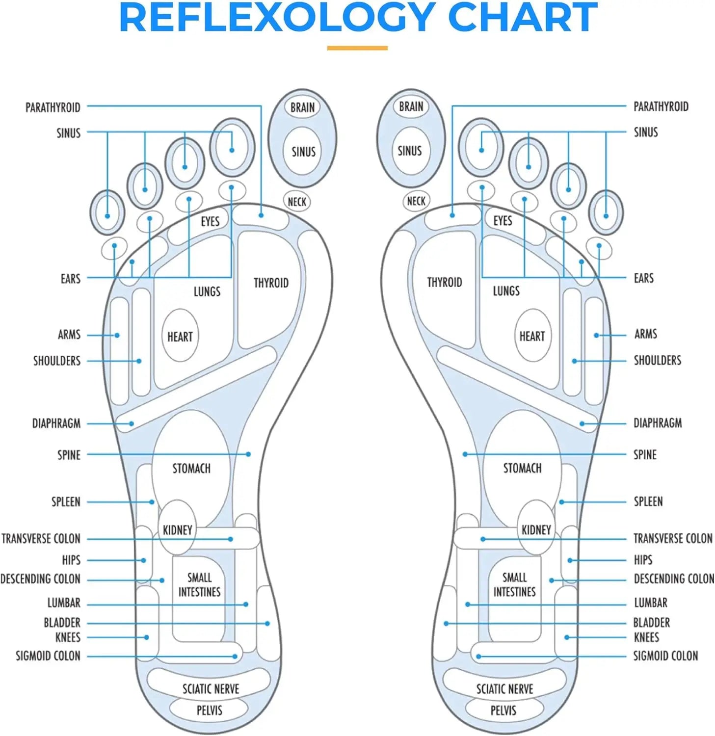 Foot Yoga Massage Acupressure Boards Toe Pressure Plate Meridian Jogging Massage Pads Stone Therapy Reflexology Mat Relaxation