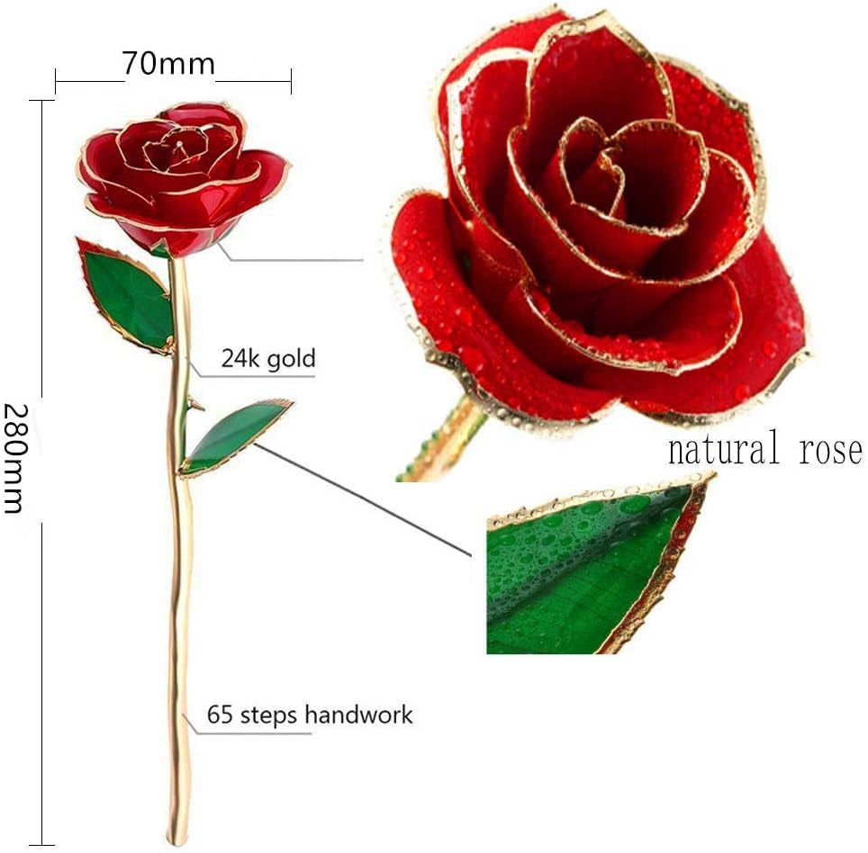 Gold Dipped Rose 24K with Gift Box, Stand & Writable Card – Valentines Day Gift for Her, Wife or Mom, Forever Preserved Rose - Romantic Flower Keepsake, Elegant Gift for Anniversary & Special Moments