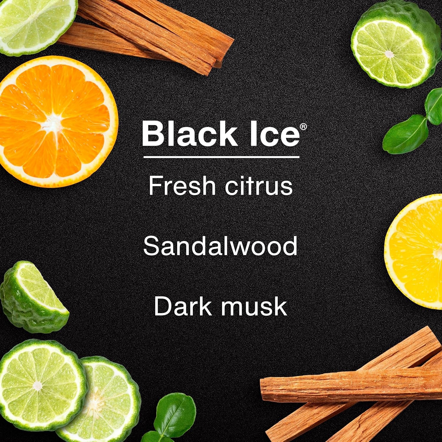 Car Air Freshener | Hanging Tree Provides Long Lasting Scent for Auto and Home | Black Ice, 24 Air Fresheners